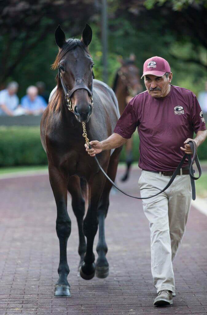 10/28/2024 PEO Mixed Sale 300 P.M. ET